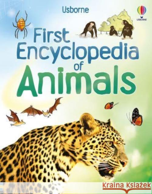 First Encyclopedia of Animals Paul Dowswell 9781836041641 Usborne Publishing Ltd