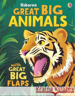 Great Big Animals (with great big flaps) Alice Beecham 9781836042273 Usborne Publishing Ltd