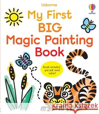 My First Big Magic Painting Book Abigail Wheatley 9781836043355