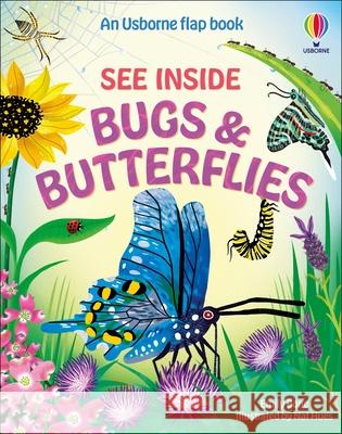See Inside Bugs and Butterflies Emily Bone 9781836044420 Usborne Publishing Ltd