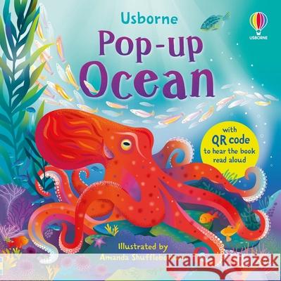 Pop-Up Ocean Lizzie Cope Amanda Shufflebotham Jenny Hilborne 9781836050308