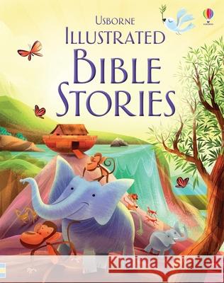 Illustrated Bible Stories Usborne                                  John Joven 9781836050711 Usborne Books