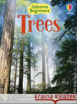 Trees Lisa Jane Gillespie Patrizia Donaera 9781836051008 Usborne Books