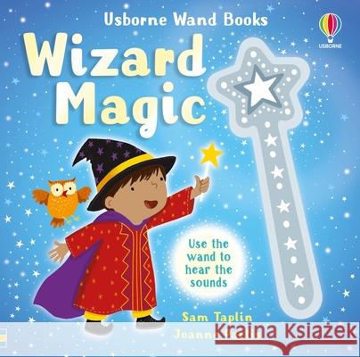 Wand Books: Wizard Magic Sam Taplin Joanne Partis 9781836051688