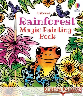 Rainforest Magic Painting Book Sam Baer Marcella Grazzi 9781836052081