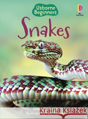 Snakes James MacLaine Paul Parker 9781836052777 Usborne Books