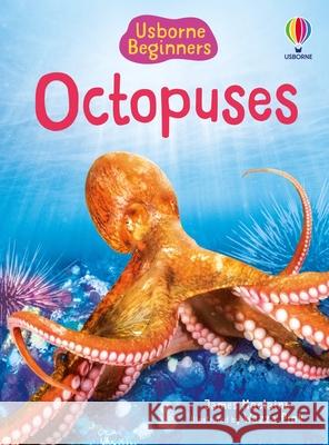 Beginners Octopuses James MacLaine Wazza Pink 9781836053293