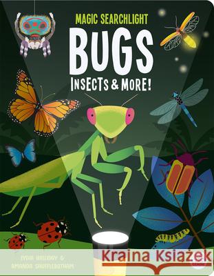 Magic Searchlight-Bugs & Minibeasts Lydia Halliday Amanda Shufflebotham 9781836160328 Gemini Children's