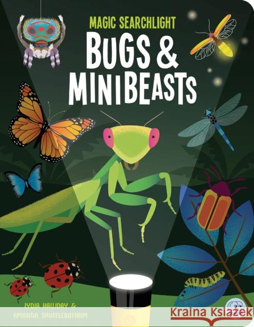 Magic Searchlight - Bugs & Minibeasts Lydia Halliday 9781836160533