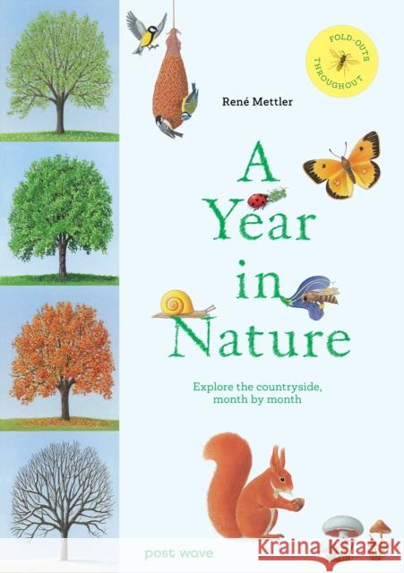 A Year in Nature: Explore the Countryside, Month by Month Rene Mettler 9781836270096 Post Wave Children's Books