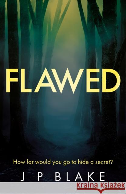 Flawed J P Blake 9781836281665 Troubador Publishing