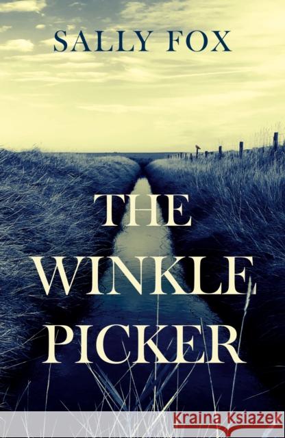 The Winkle Picker Sally Fox 9781836285601