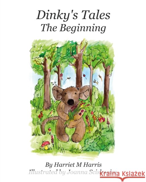 Dinky's Tales: The Beginning Harriet M Harris 9781836285878