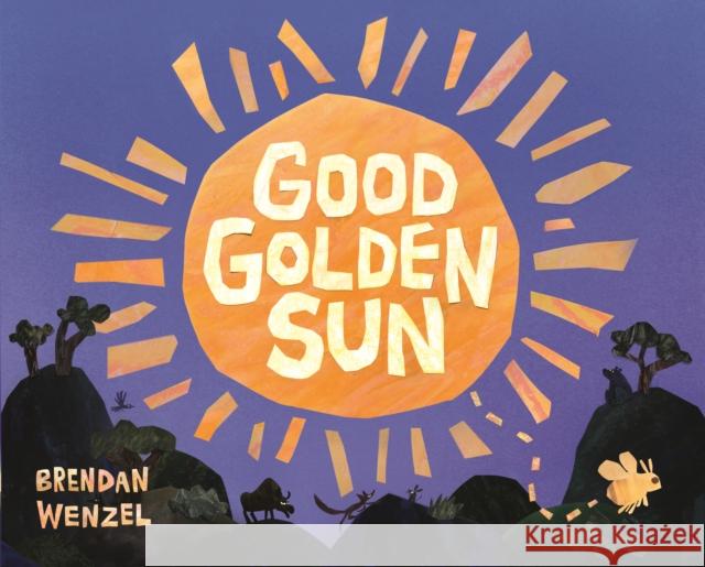 Good Golden Sun Brendan Wenzel 9781836300304