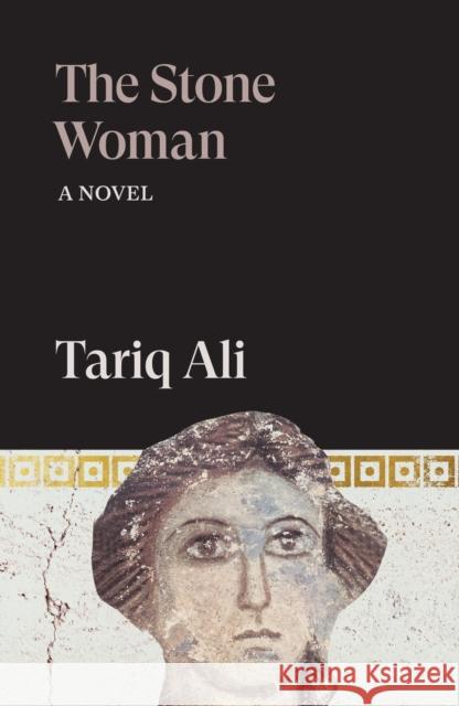 The Stone Woman: A Novel Tariq Ali 9781836743736