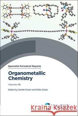 Organometallic Chemistry: Volume 46 Gareth Owen Nildo Costa 9781837070718
