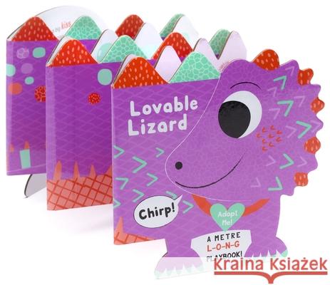 Lovable Lizard: Lovable Lizard Louise Martin Sally Payne 9781837160204 Three Wishes