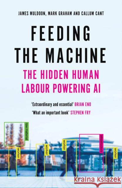 Feeding the Machine: The Hidden Human Labour Powering AI Callum Cant 9781837261857