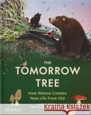 The Tomorrow Tree: How Nature Creates New Life from Old Maciej Michno Danio Miserocchi Valentina Gottardi 9781837290574 Phaidon Press