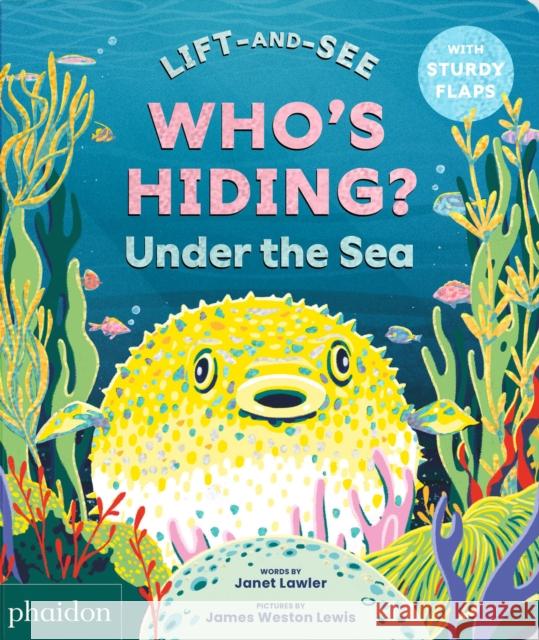WHO'S HIDING? Under the Sea: A Lift-the-Flap Book Janet Lawler 9781837290895 Phaidon Press