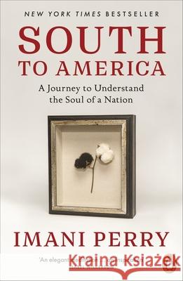 South to America: A Journey to Understand the Soul of a Nation Imani Perry 9781837311651