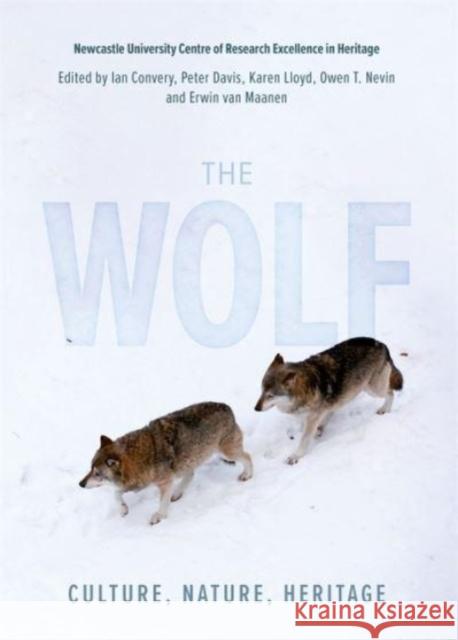 The Wolf: Culture, Nature, Heritage Ian Convery Owen Nevin Erwin Van Va 9781837650156 Boydell Press