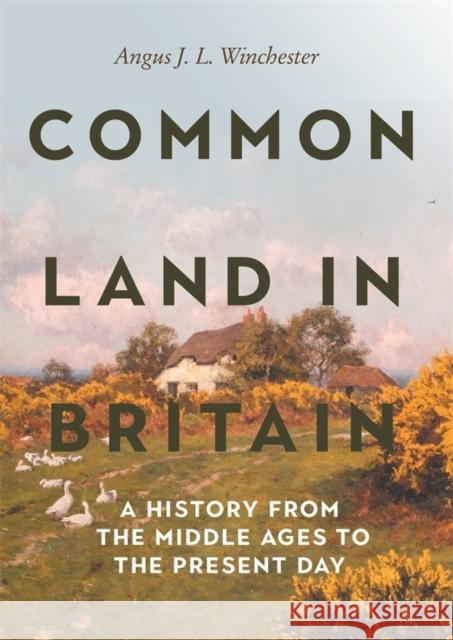 Common Land in Britain: A History from the Middle Ages to the Present Day Angus J L Winchester 9781837651320