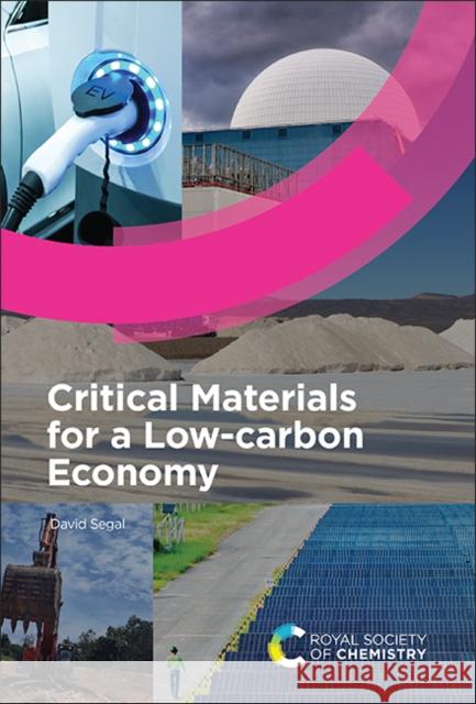 Critical Materials for a Low-Carbon Economy David Segal 9781837674954