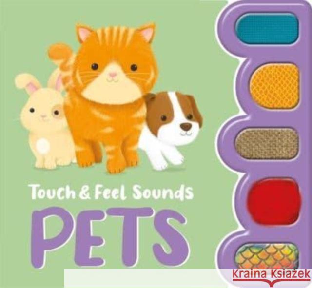 Touch & Feel Sounds: Pets Igloo Books 9781837711307