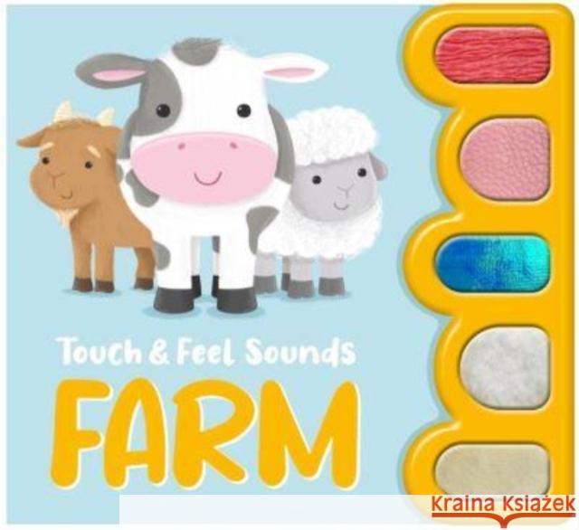 Touch & Feel Sounds: Farm Igloo Books 9781837711314 Bonnier Books Ltd