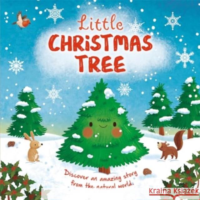 Little Christmas Tree Autumn Publishing 9781837712953