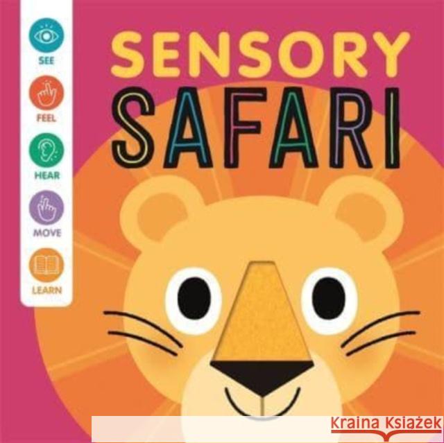 Sensory Safari Autumn Publishing 9781837714315 Bonnier Books Ltd