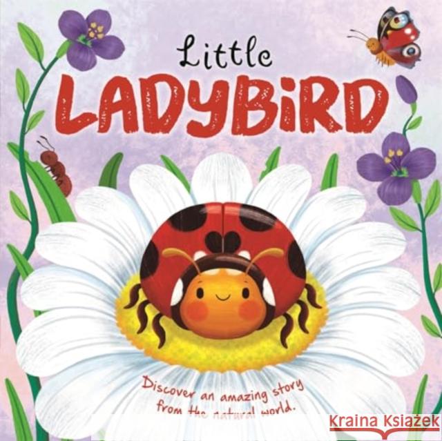 Little Ladybird Autumn Publishing 9781837714339