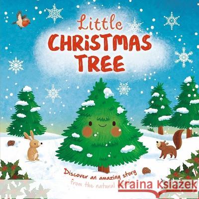 Nature Stories: Little Christmas Tree: Discover an Amazing Story from the Natural World! Padded Board Book Igloobooks                               Gisela Bohorquez 9781837716814 Igloo Books