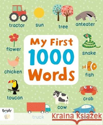 My First 1000 Words Igloobooks                               Alice Potter 9781837717866 Igloo Books