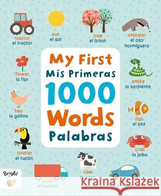 My First 1000 Words Spanish/MIS Primeras Palabras Igloobooks                               Alice Potter 9781837717873 Igloo Books