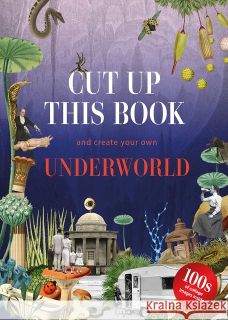 Cut Up This Book and Create Your Own Underworld Eliza Scott 9781837760039