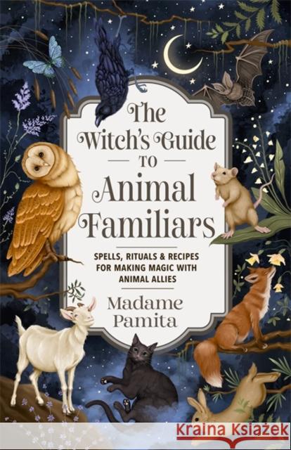The Witch's Guide to Animal Familiars: Spells, Rituals & Recipes for Making Magic with Animal Allies Madame Pamita 9781837822942 Hay House UK Ltd