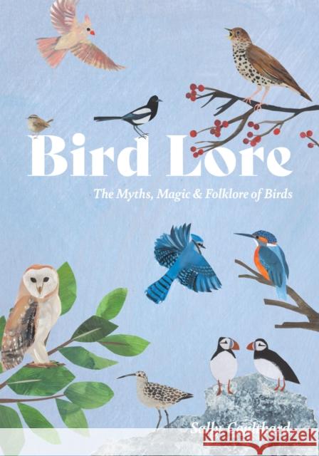 Bird Lore: The Myths, Folklore and Meaning of Birds Sally Coulthard 9781837833061 Quadrille Publishing