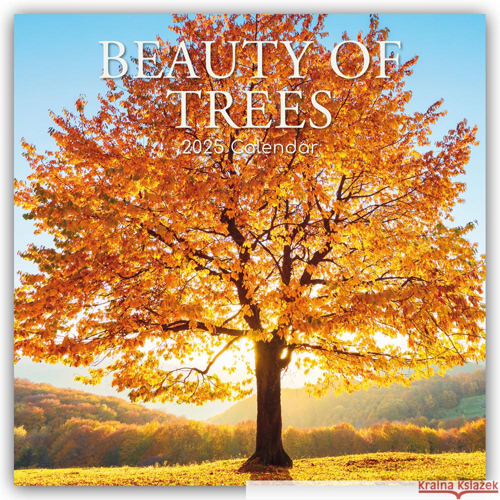 Beauty of Trees - Die Schönheit der Bäume 2025 - 16-Monatskalender Gifted Stationery Co. Ltd 9781837889310