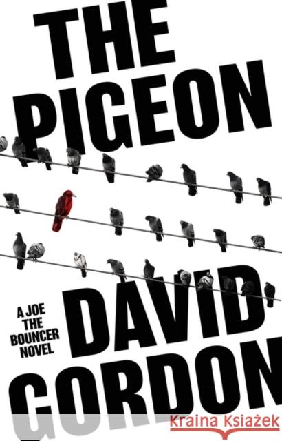 The Pigeon David Gordon 9781837932894