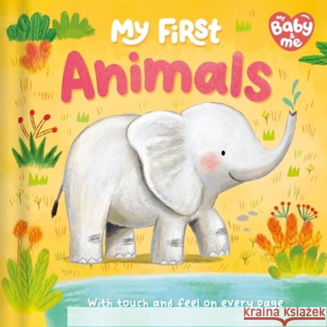 My First Animals Igloo Books 9781837953905