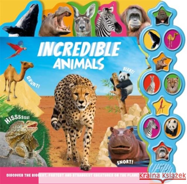 Incredible Animals Igloo Books 9781837954759 Bonnier Books Ltd