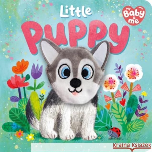 Little Puppy Igloo Books 9781837954810 Bonnier Books Ltd