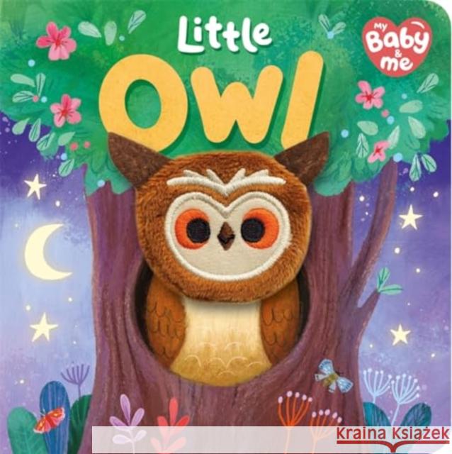 Little Owl Igloo Books 9781837954827 Bonnier Books Ltd