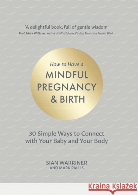 How to Have a Mindful Pregnancy and Birth Mark Pallis 9781837962525