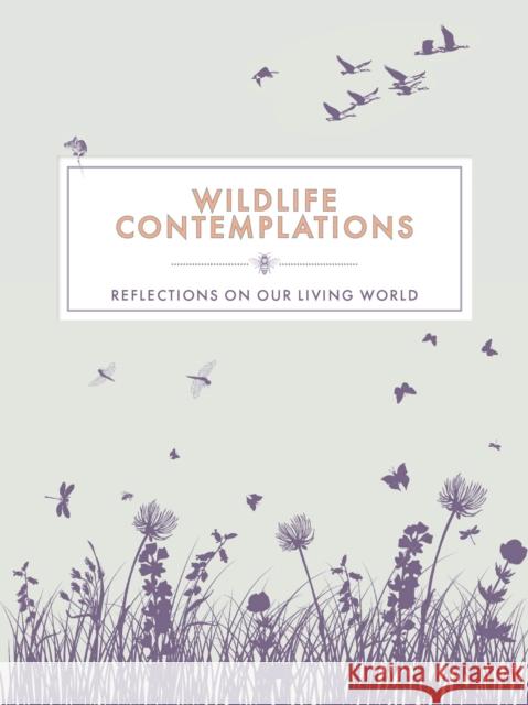 Wildlife Contemplations Trigger Publishing 9781837963911 Trigger Publishing