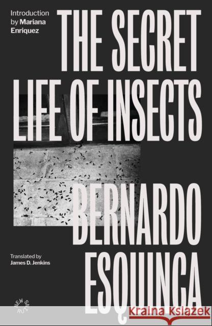 The Secret Life of Insects Bernardo Esquinca 9781838171643 Cinder House