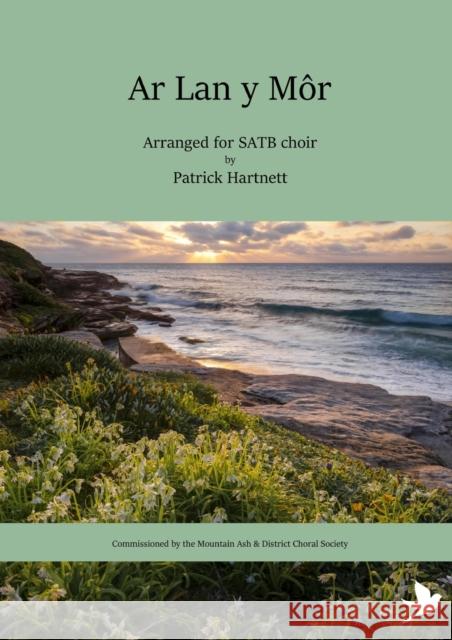 Ar Lan y Môr Hartnett, Patrick 9781838174620 Springtime Books