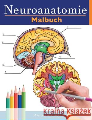 Neuroanatomie Malbuch: Detailliertes Malbuch zum Selbsttest des menschlichen Gehirns für die Neurowissenschaften Perfektes Geschenk für Mediz Academy, Anatomy 9781838188689